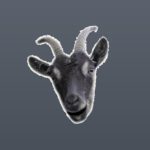 keciweb.com kullanıcısının profil fotoğrafı